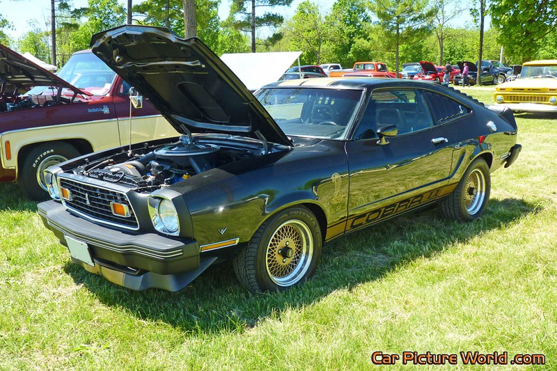 1977 Mustang Cobra II