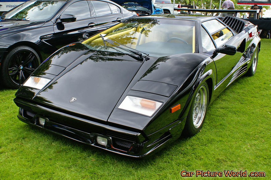 Picture of a 25th Anniversary Countach