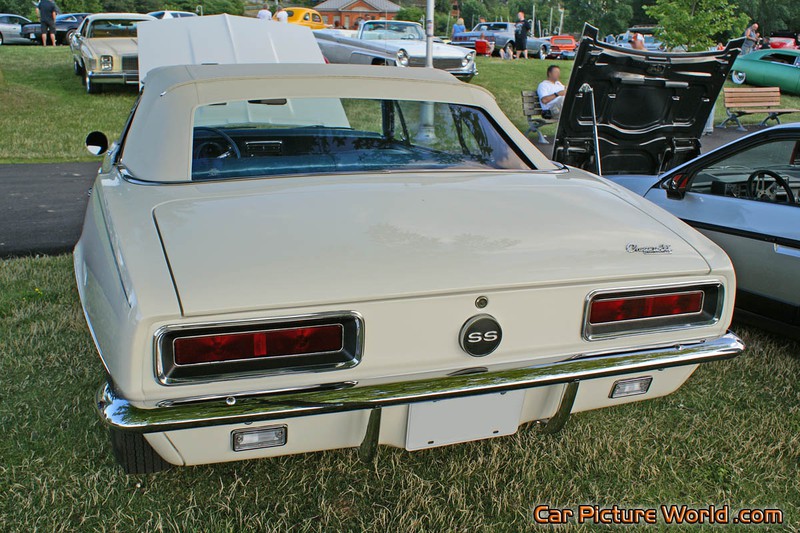 1967 Pace Car Camaro Rear