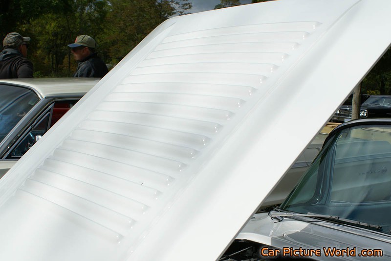 1958 Corvette Hood