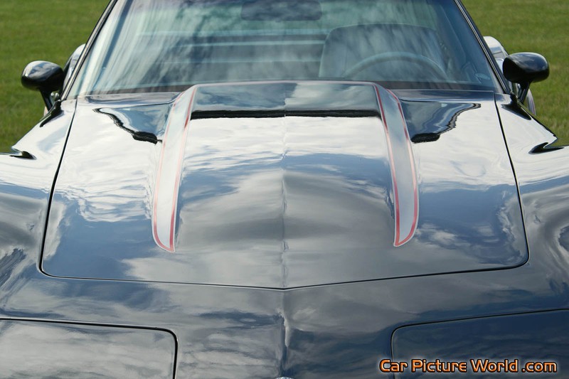 1978 Pace Car Corvette Hood