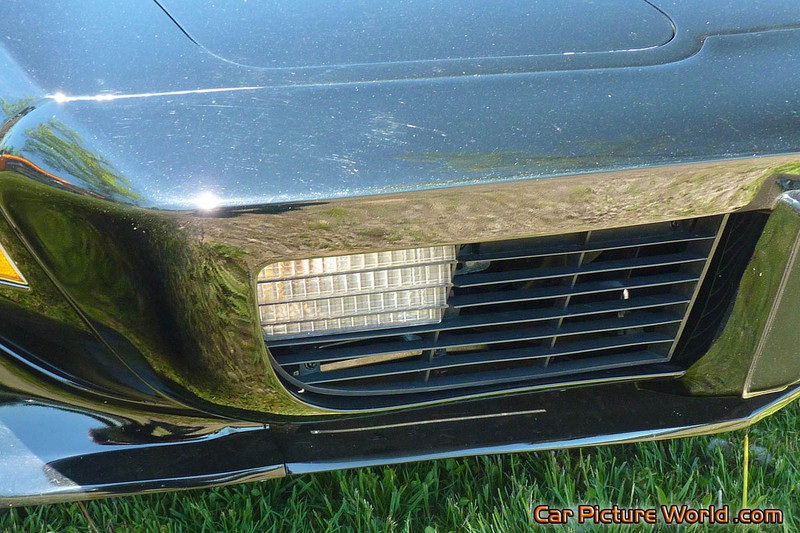 1979 L 82 Corvette Grill