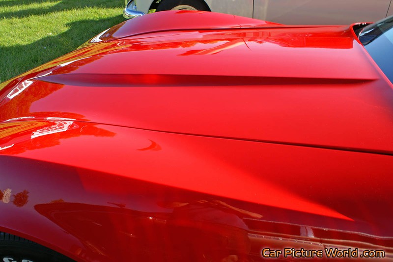 1981 Corvette Hood