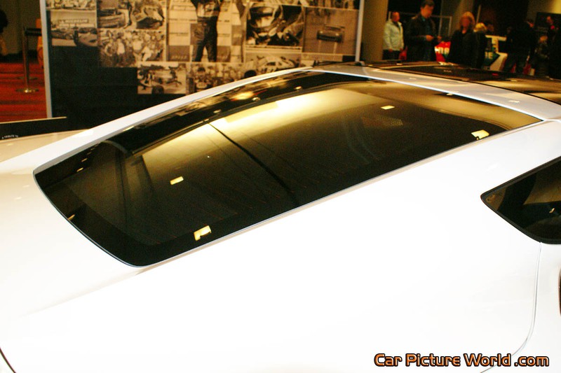 2014 Ron Fellows Corvette Rear Window