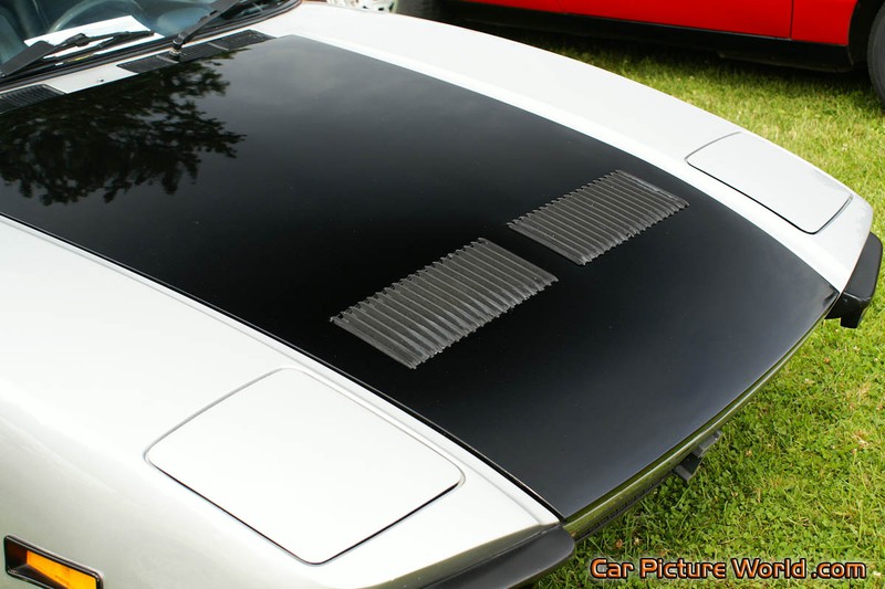 1972 Pantera Hood