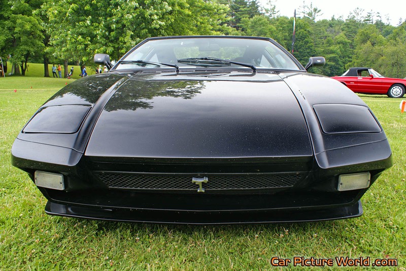1974 Black Pantera Front Low