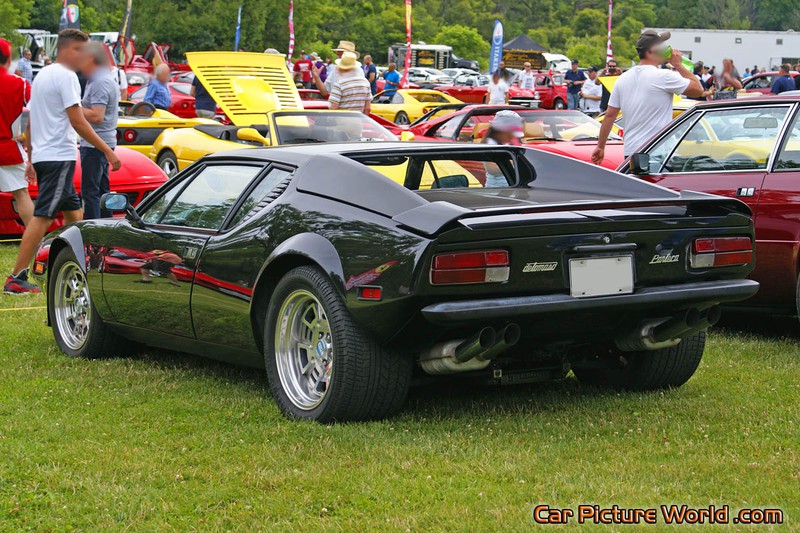 1974 Black Pantera Rear Left