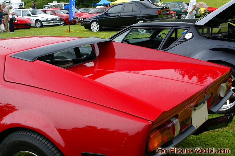 Pantera GTS Engine Hatch