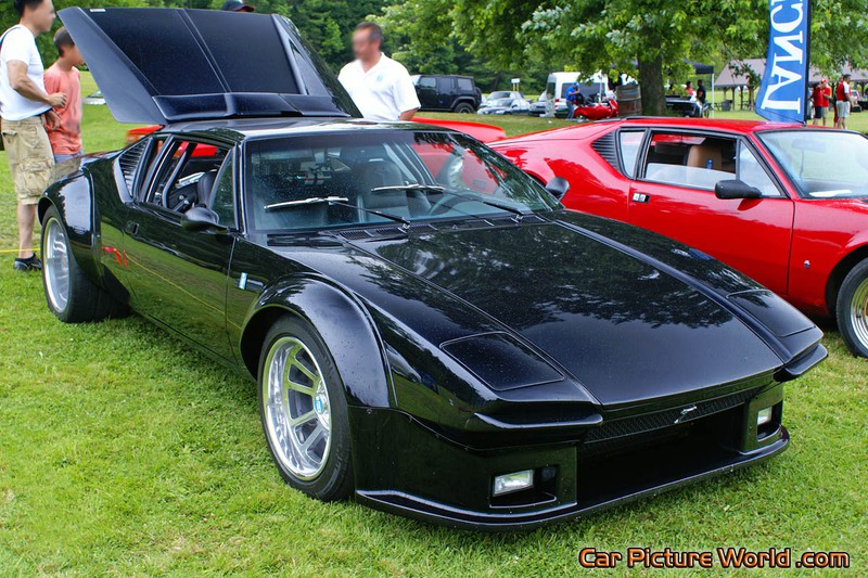 Modified Pantera