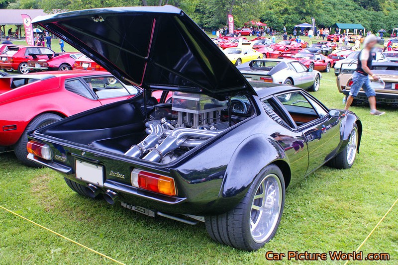 Modified Pantera Rear Right
