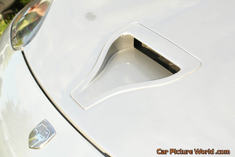 Viper GTS ACR Naca Intake Scoop