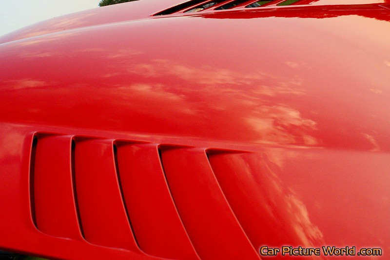 Red Viper SRT-10 Hood