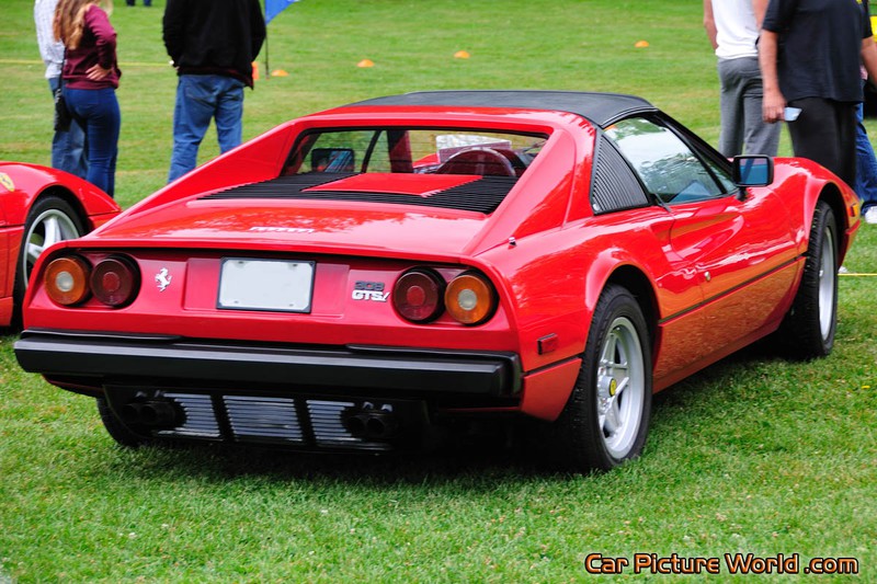 1981 308 GTSi Rear Right