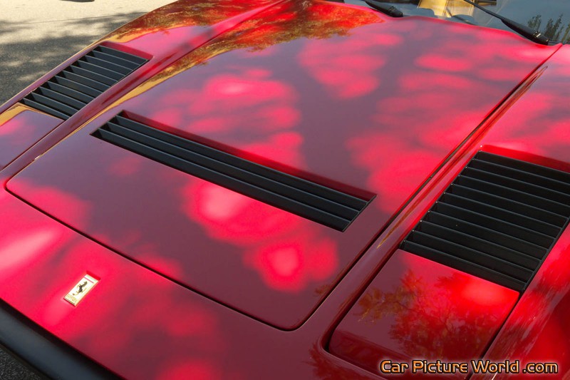 Ferrari 308 GTSi Hood