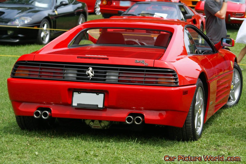 1991 Ferrari 348 tb Rear