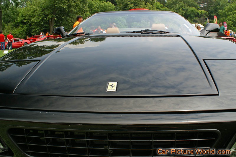 1994 348 Spider Hood