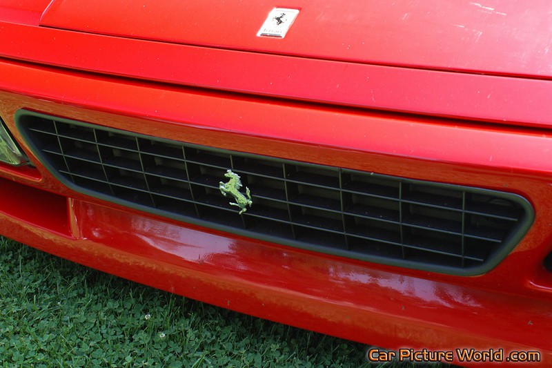 Ferrari 348 Spider Grill