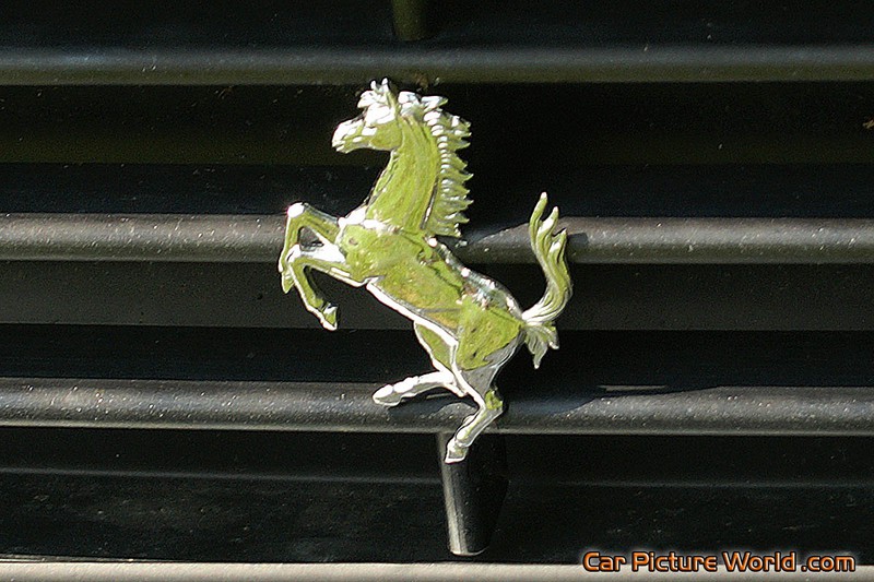 1998 355 F1 Berlinetta Grill