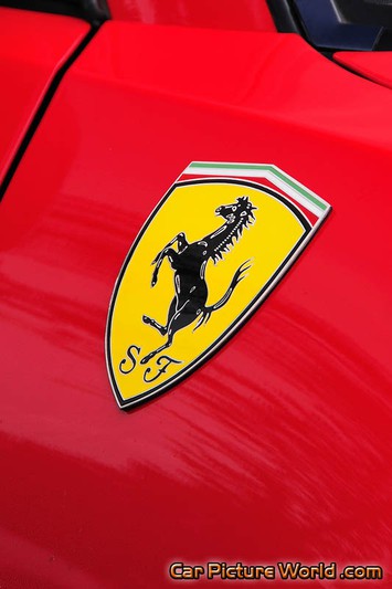 1998 355 Spider Fender Crest