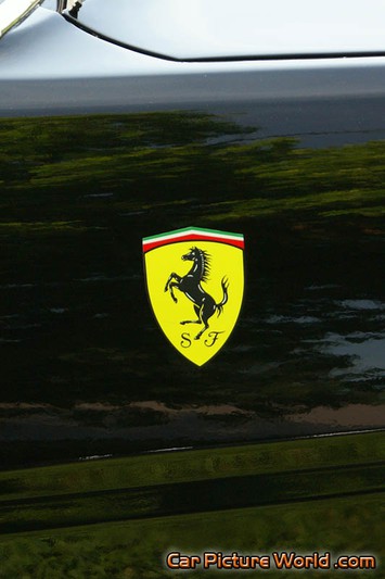 1979 Ferrari 400 GT Fender Crest