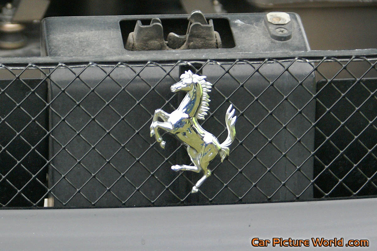 Ferrari F430 Black Rear Emblem