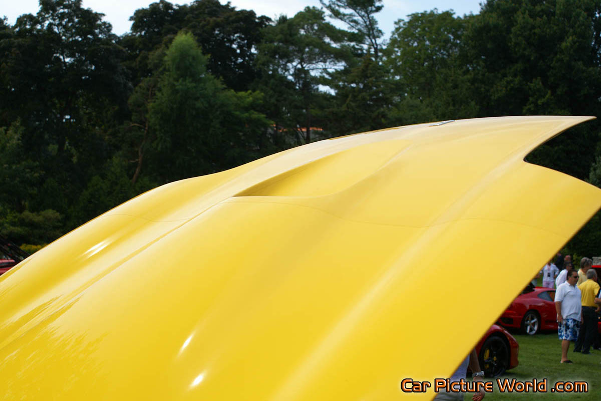 575M Maranello Yellow Hood