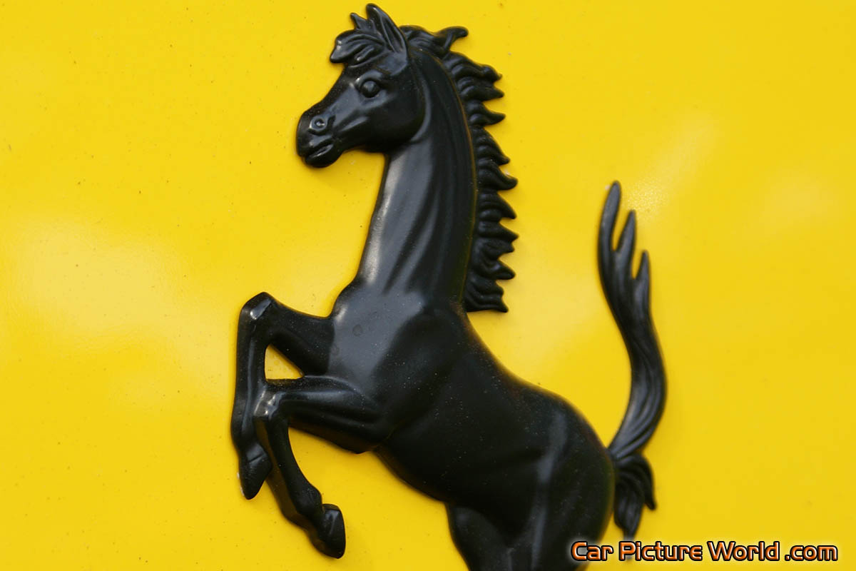 575M Maranello Yellow Rear Emblem