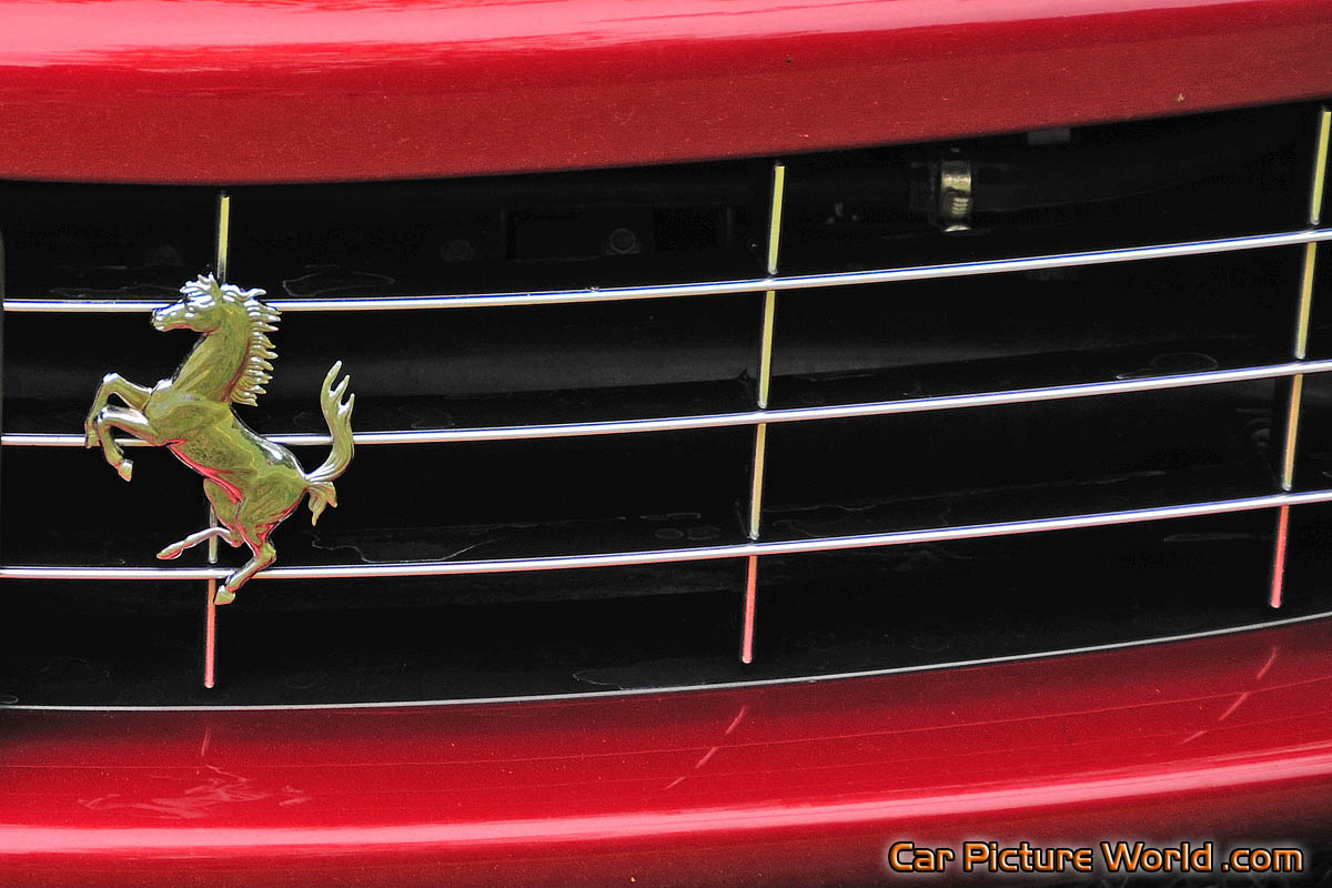 2008 599 GTB Grill Emblem