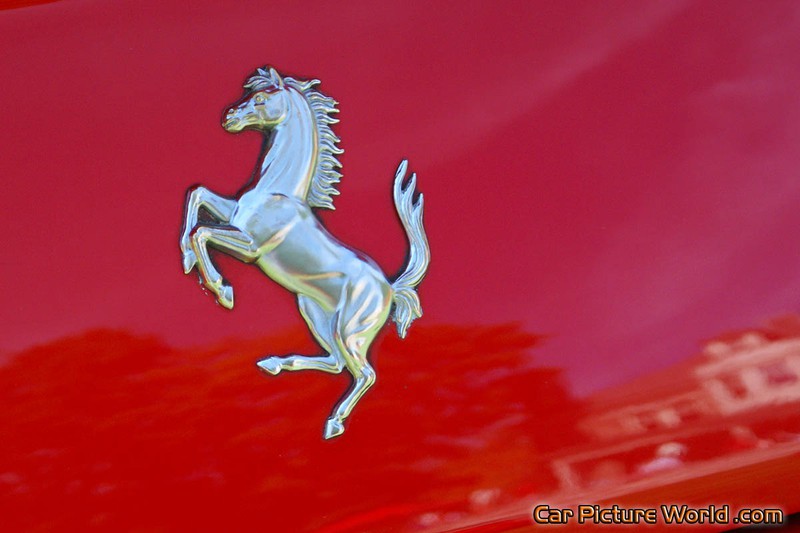 Ferrari 599XX Rear Horse Emblem