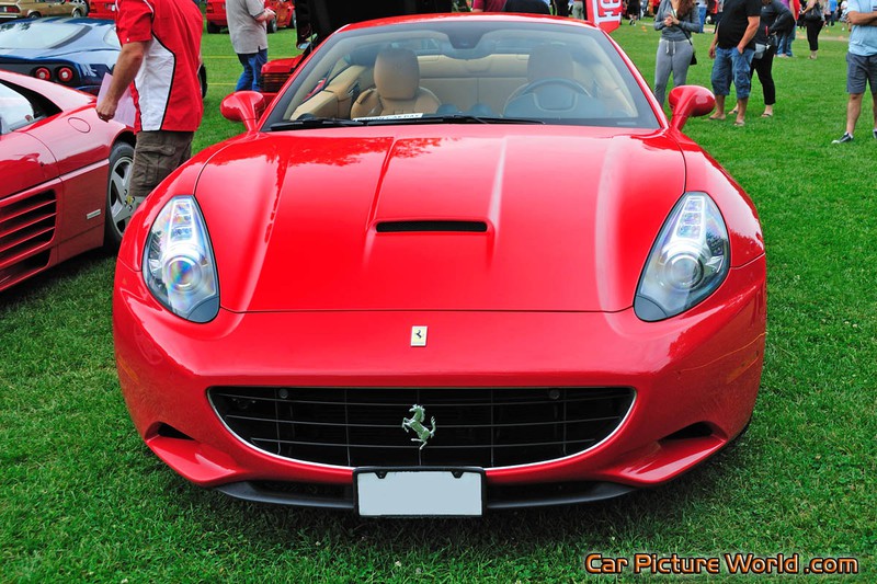 2010 California Front