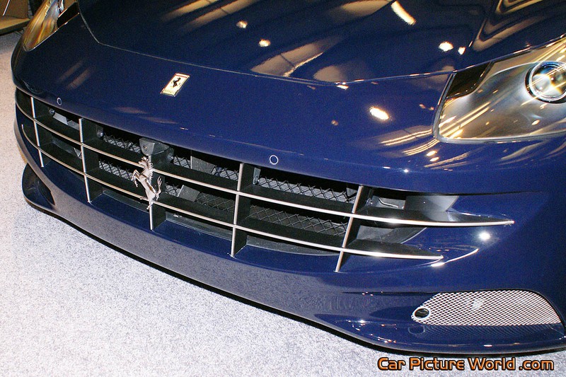 2014 Ferrari FF Grill