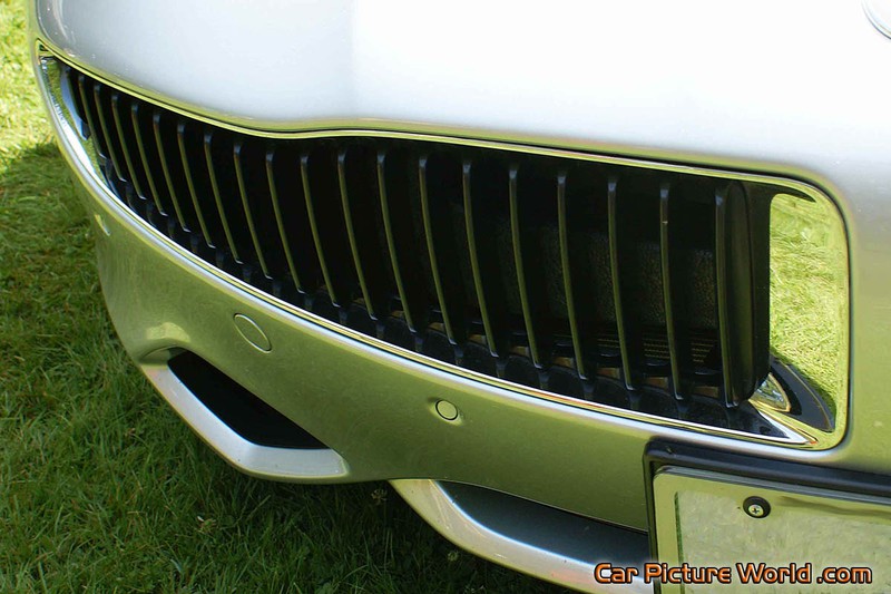Fisker Karma Grill