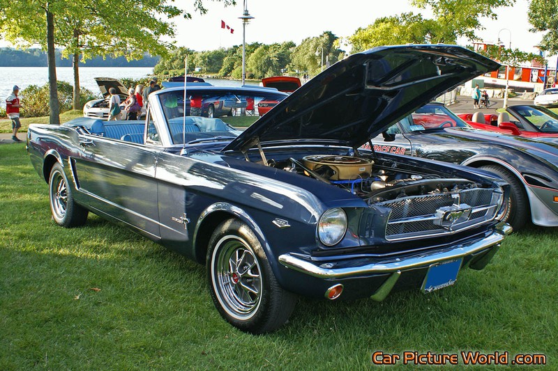 1965 Convertible Mustang