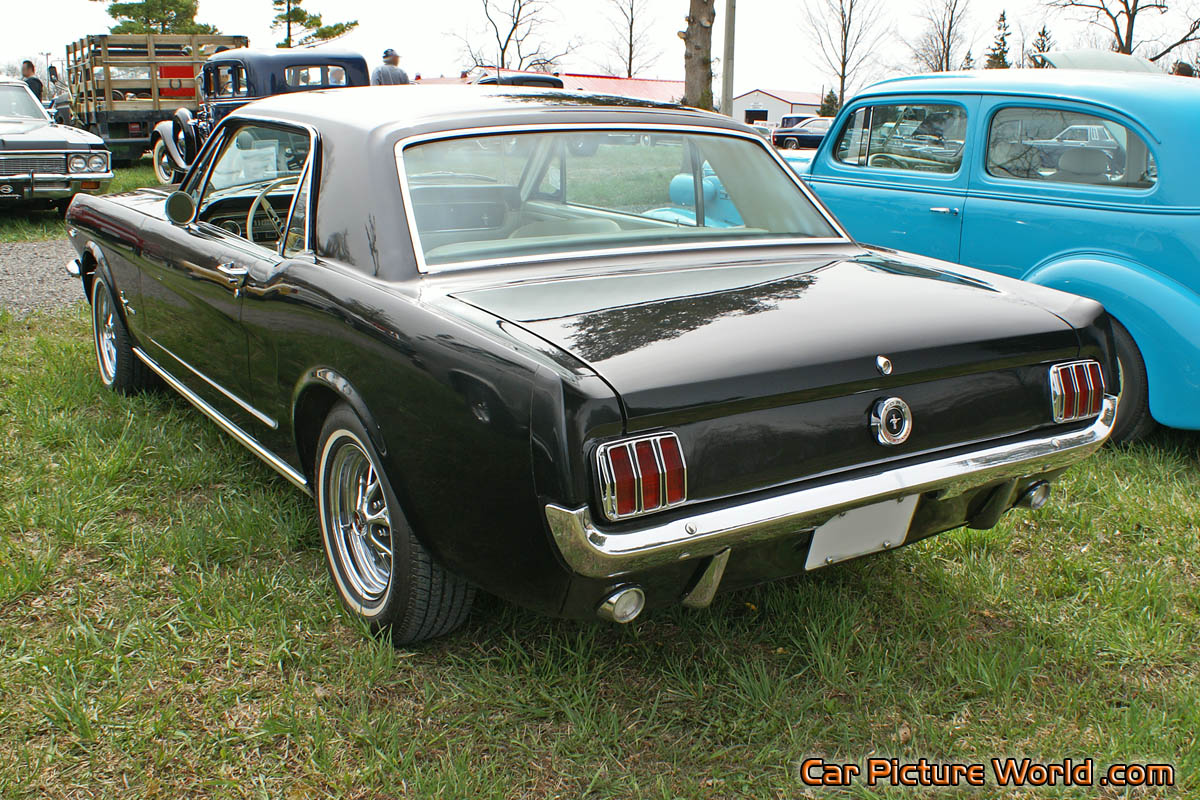 1965 Mustang Coupe Rear Left