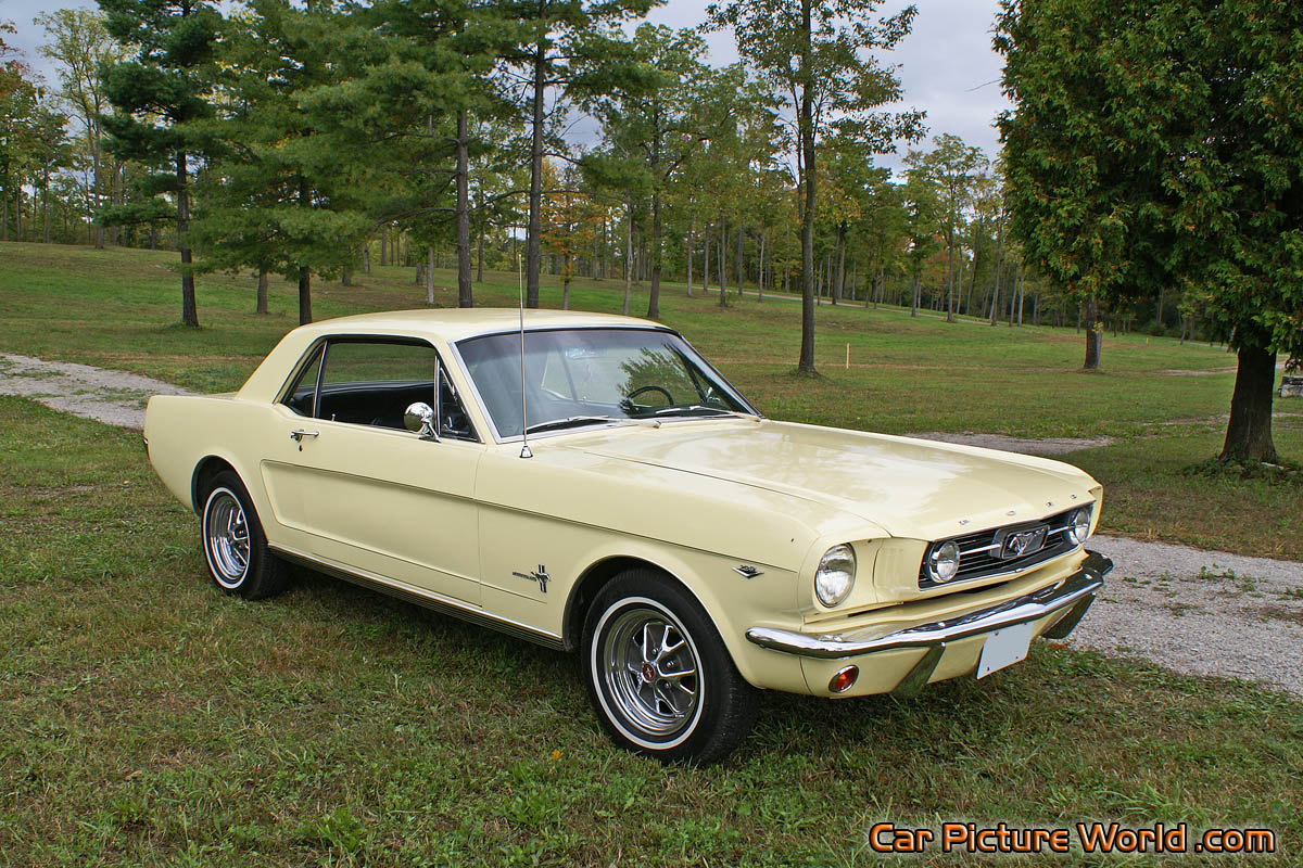 1965 Nothcback Mustang
