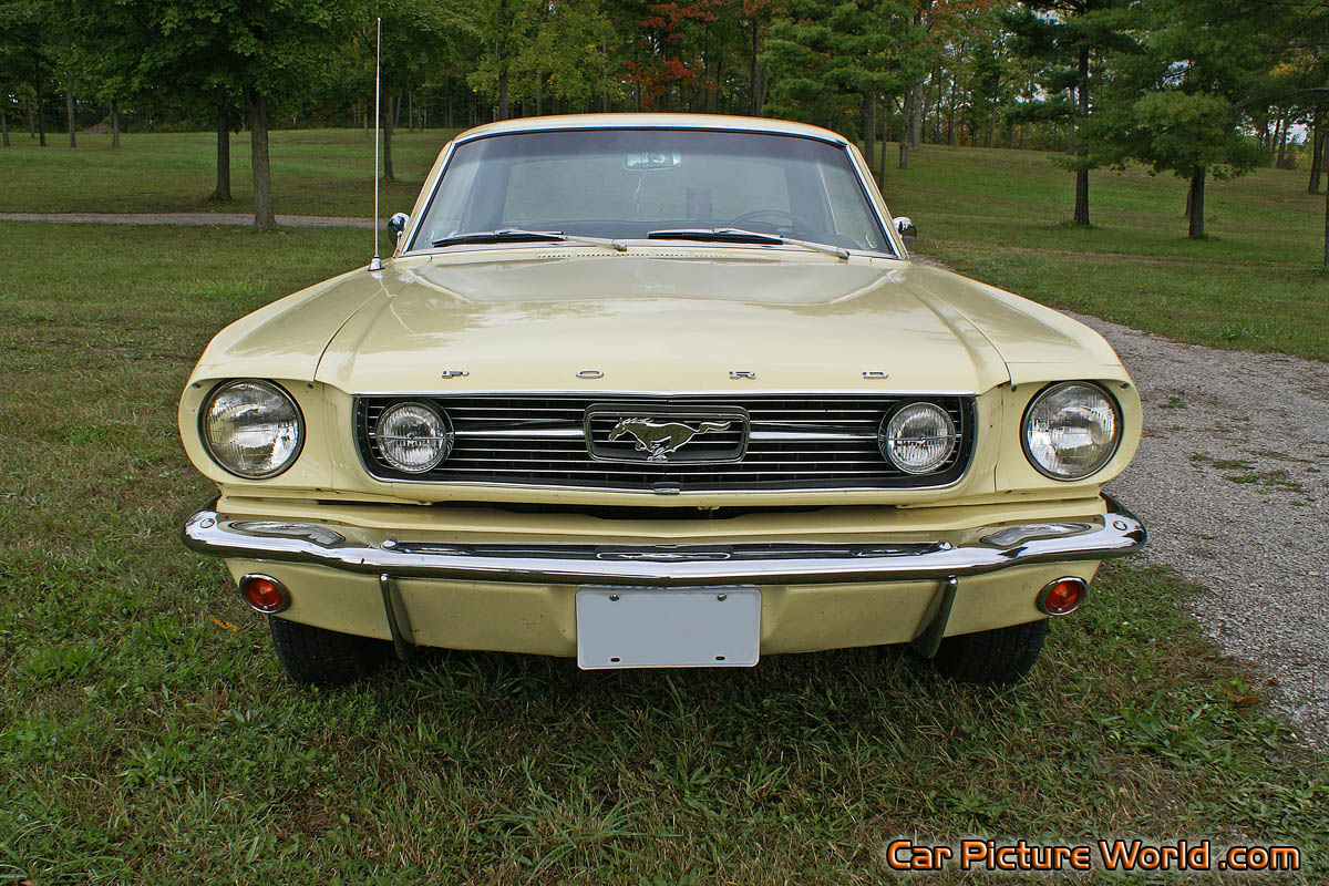 1965 Nothcback Mustang Front