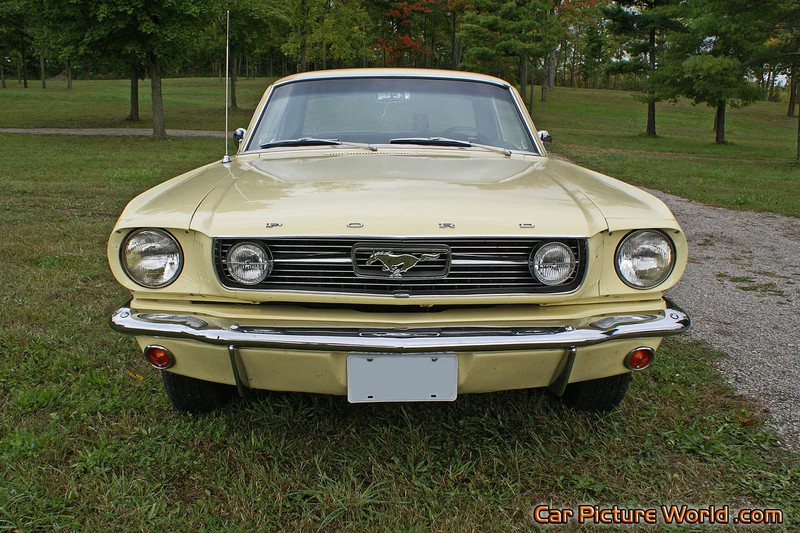 1965 Nothcback Mustang Front