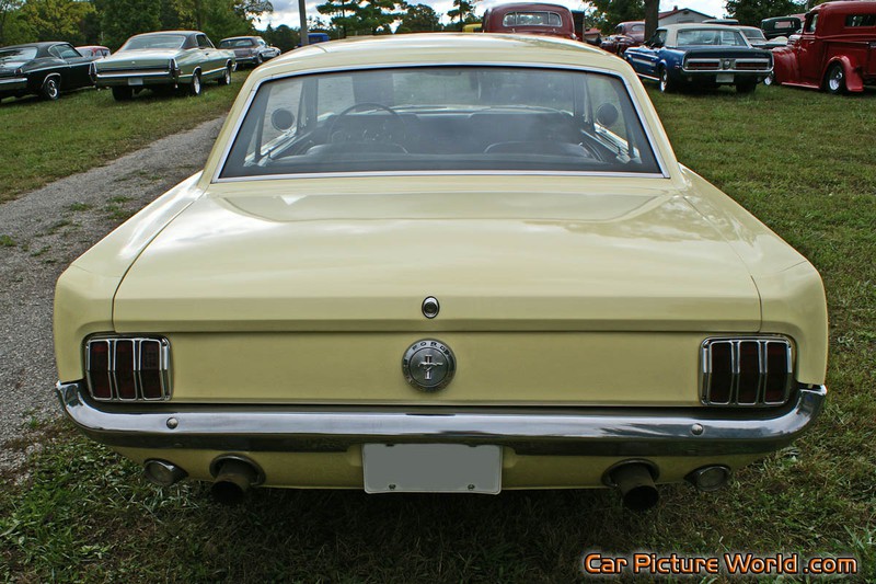 1965 Nothcback Mustang Rear
