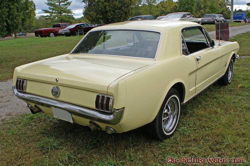1965 Nothcback Mustang Rear Right