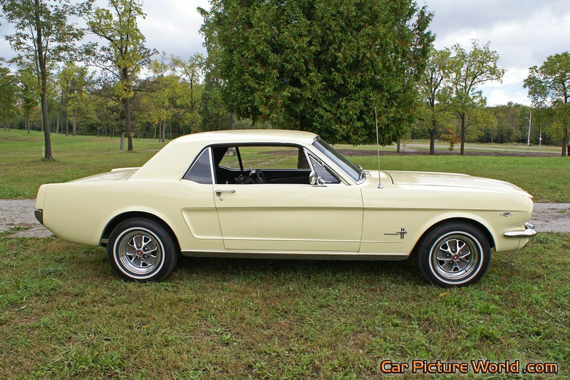 1965 Nothcback Mustang Right Side