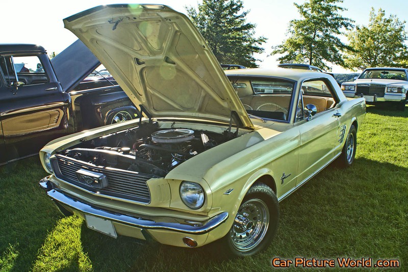 1966 Mustang Notchback