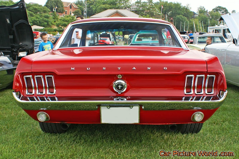 1967 Notchback Mustang Rear