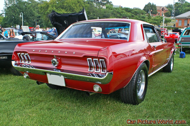 1967 Notchback Mustang Rear Right