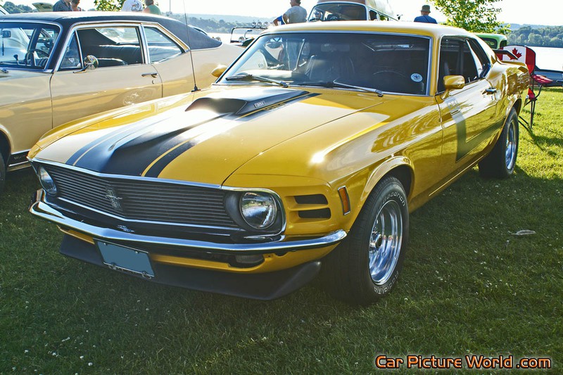 1969 351 Mustang