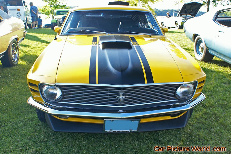 1969 351 Mustang Front