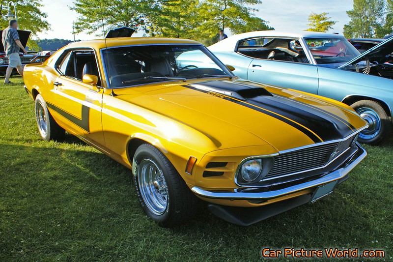 1969 351 Mustang Front Right