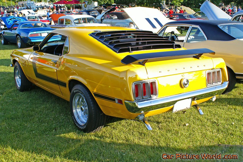 1969 351 Mustang Rear Left