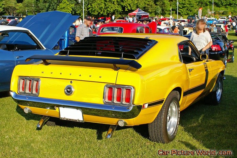 1969 351 Mustang Rear Right