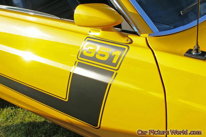 1969 351 Mustang Side Stripe