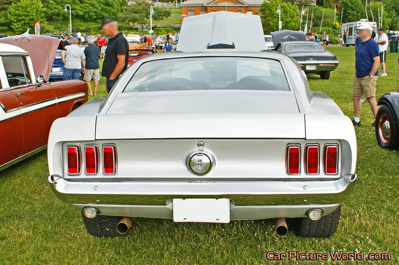 1969 Mustang Fastback Rear